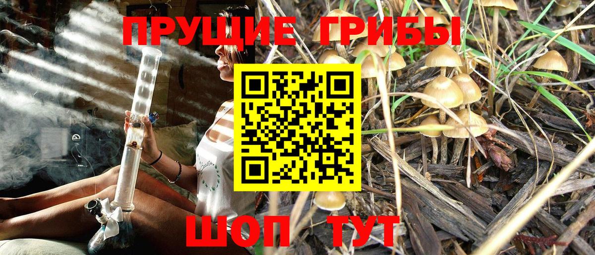 Галлюциногенные грибы прущие грибы  Вход с VPN  Советский 